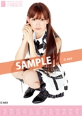 小嶋陽菜 AKB48(team A) 2012 ポスタータイプカレンダー (AKB-106)