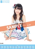 柏木由紀 AKB48(team B) 2012 ポスタータイプカレンダー (AKB-135)