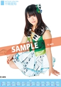  平嶋夏海    AKB４８（team Ｂ）    ２０１２ ポスタータイプカレンダー　（AKB-145） 