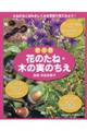 花のたね・木の実のちえ(全5巻セット)