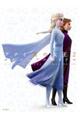 ディズニーアナと雪の女王2ビジュアルガイド