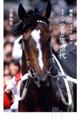 競馬ノンフィクション1998年世代