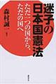 迷子の日本国憲法