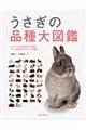 うさぎの品種大図鑑