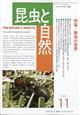 昆虫と自然 2025年 11月号