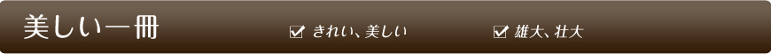  ꂢA YAs