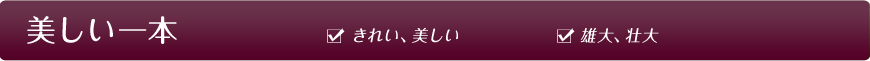 { ꂢA YAs