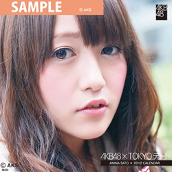 佐藤亜美菜    AKB４８    ２０１２ ＴＯＫＹＯデートカレンダー　（AKB-017）