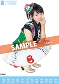 小林香菜    AKB４８（team Ｂ）    ２０１２ ポスタータイプカレンダー　（AKB-137）