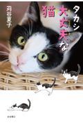 タカシ大丈夫な猫