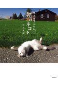 見上げてごらん、朝のネコを