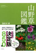 山野草図鑑 / 大きくて見やすい!比べてよくわかる!