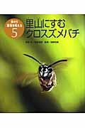 里山にすむクロスズメバチ