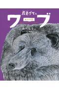 灰色グマのワーブ