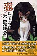 猫にまつわる不思議な話