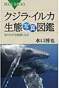 クジラ・イルカ生態写真図鑑 / 知られざる素顔に迫る
