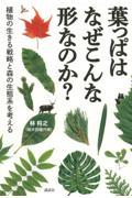 葉っぱはなぜこんな形なのか? / 植物の生きる戦略と森の生態系を考える