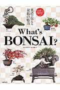 Ｗｈａｔ’ｓ　ＢＯＮＳＡＩ？