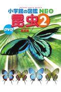 昆虫 2 / DVDつき