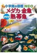 ７月第１週