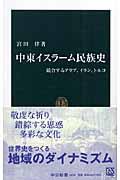 中東イスラーム民族史 / 競合するアラブ、イラン、トルコ