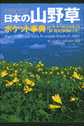 日本の山野草ポケット事典 / 国内種、海外種約1600種記載