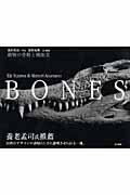 Bones / 動物の骨格と機能美