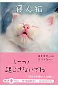 寝ん猫