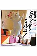 無重力猫とびっきりミルコ!