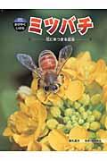 ミツバチ / 花にあつまる昆虫