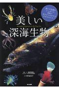 美しい深海生物