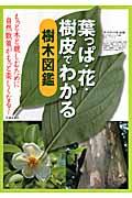 葉っぱ・花・樹皮でわかる樹木図鑑