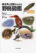 鳴き声と羽根でわかる野鳥図鑑