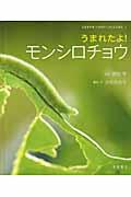 うまれたよ！モンシロチョウ