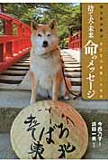 捨て犬・未来命のメッセージ / 東日本大震災・犬たちが避難した学校