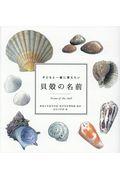 子どもと一緒に覚えたい貝殻の名前