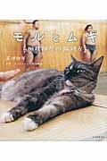 モルとムギ / 相撲部屋の猫親方