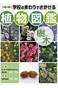 学校のまわりでさがせる植物図鑑