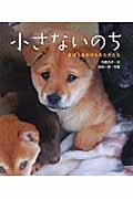 小さないのち / まほうをかけられた犬たち