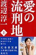 愛の流刑地 上