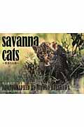 savanna cats / 草原の大将