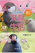 とっておきの文鳥生活