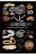 ヘビ品種図鑑