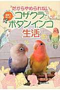 だからやめられないコザクラ・ボタンインコ生活