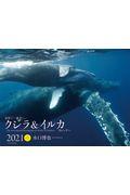 ワイド判カレンダー世界で一番美しいクジラ＆イルカカレンダー