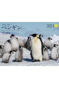 ワイド判カレンダー世界で一番美しいペンギンカレンダー