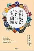 ひとりで探せる川原や海辺のきれいな石の図鑑