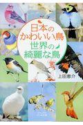 日本のかわいい鳥世界の綺麗な鳥