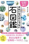 きれいなだけじゃない石図鑑 / 川や海で子どもと楽しむ