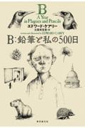 Ｂ：鉛筆と私の５００日